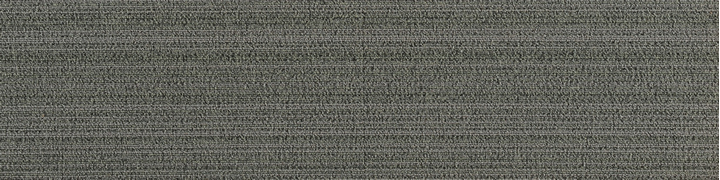 JNP08-2